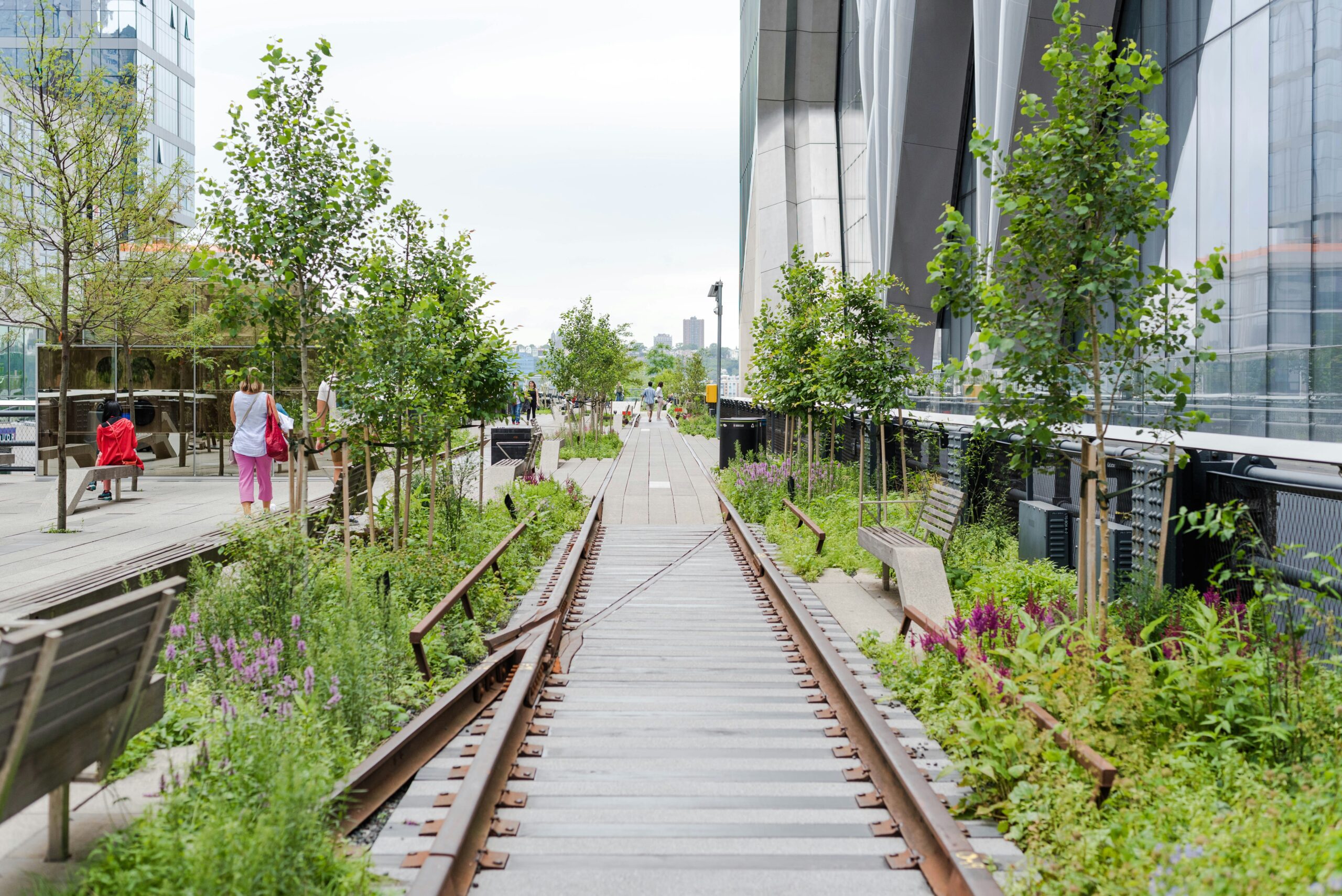 The High Line elevated park in New York City with greenery and old rail tracks